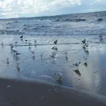 Сasa de vacaciones In Near The *