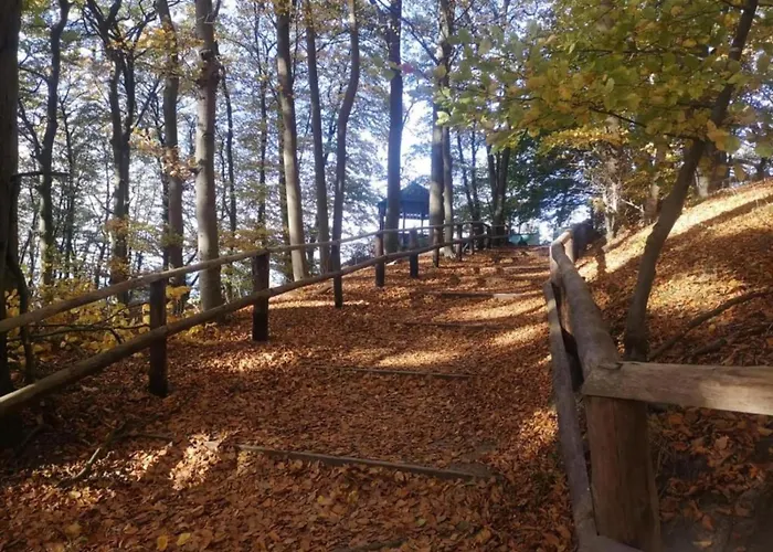 In Near The Tatil Evi *