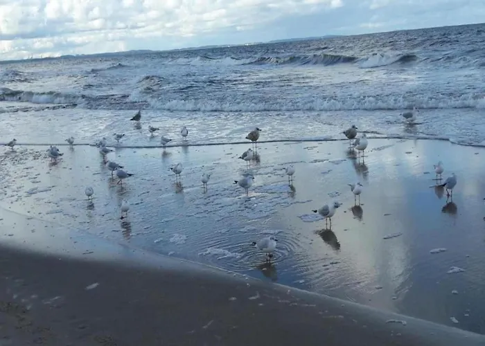 Tatil Evi In Near The *